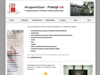 ACUPUNCTUURPRAKTIJK C B L LIE