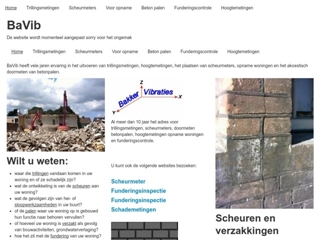 BAKKER VIBRATIES