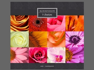 BLOEMENSHOP 'T STATION