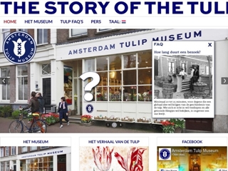 AMSTERDAM TULIP MUSEUM