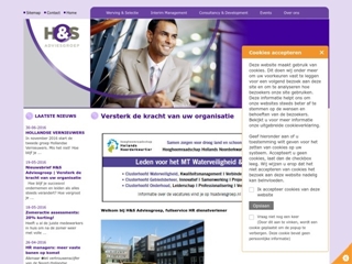 H & S ADVIESGROEP BV