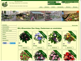BKJ BLOEMISTEN VOF