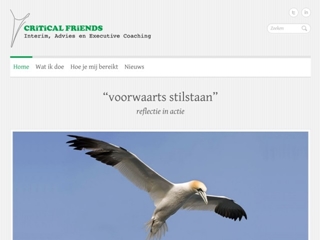 CRITICAL FRIENDS