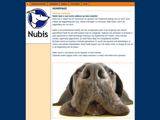 NUBIS GEDRAGSTHERAPIE