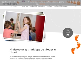 VLIEGER BSO DE