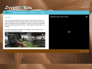 ZWETTULIPS