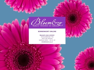 BLOEM & ZO RIJKERS BLOEMEN EN CADEAUS