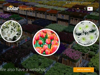SOLAR FLOWERS BV