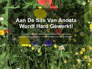 ANDATA