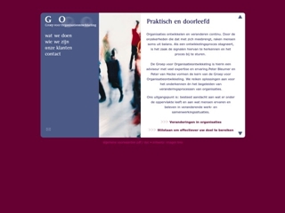 BLEUMER PETER GO CONSULT BV
