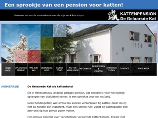 GELAARSDE KAT KATTENPENSION DE