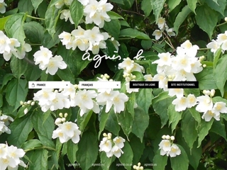 AGNES B