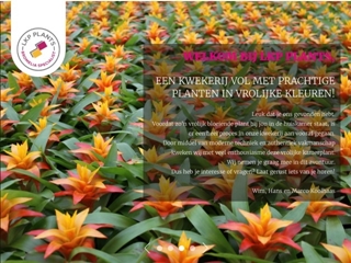 LKP PLANTS II