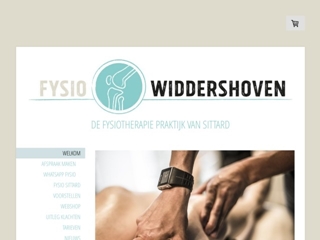 BEN WIDDERSHOVEN FYSIOTHERAPIE
