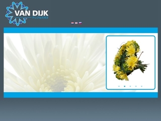 DIJK FLOWERS FRANS VAN