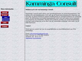 KAMMINGA CONSULT