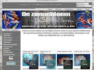 ZONNEBLOEM KOI KADO GROEN DE