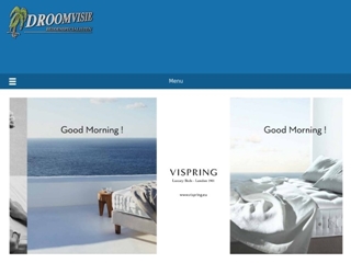 DROOMVISIE