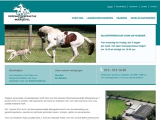 DIERENARTSENPRAKTIJK MOERGESTEL