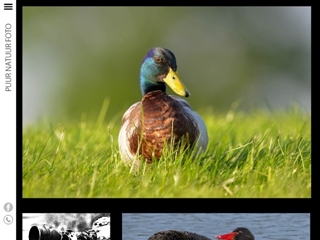 PUURNATUURFOTO