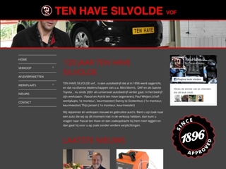HAVE AUTOMOBIELBEDRIJF TEN
