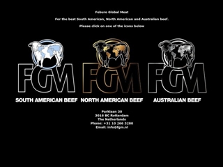 FEBURO GLOBAL BV