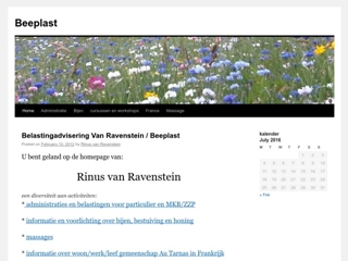 BELASTINGADVISERING VAN RAVENSTEIN