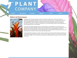 STOFBERGEN PLANT COMPANY