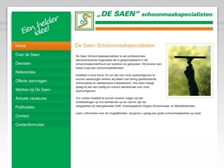 SAEN SCHOONMAAKSPECIALISTEN BV DE