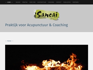 CHIN J C SANCAI ACUPUNCTUUR EN COACHING