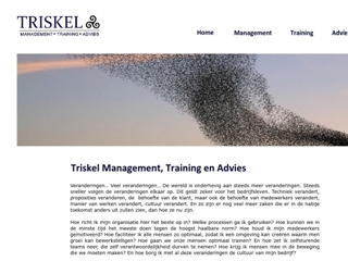 TRISKEL MANAGEMENT, TRAINING EN ADVIES