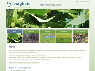 BORGHUIS COUNSELING & COACHING